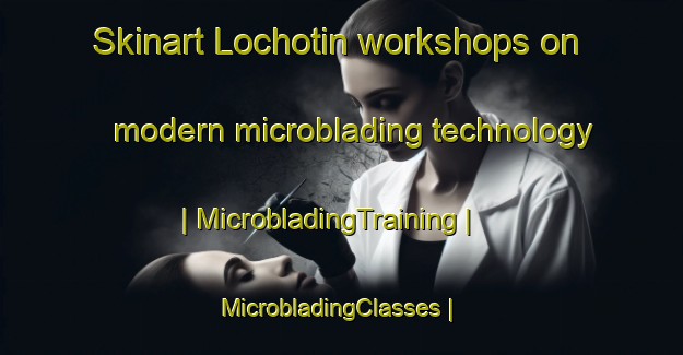 Skinart Lochotin workshops on modern microblading technology | MicrobladingTraining | MicrobladingClasses | SkinartTraining-Czech Republic